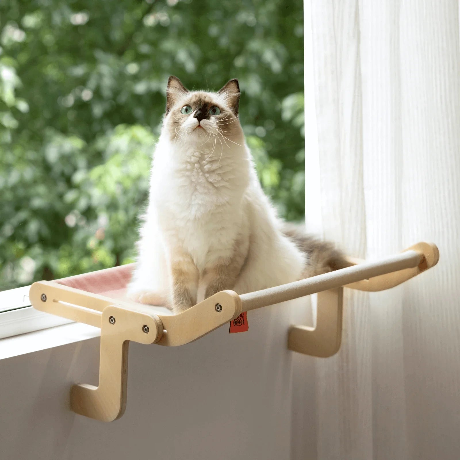 Sturdy Hanging Cat Bed SBDS WORD