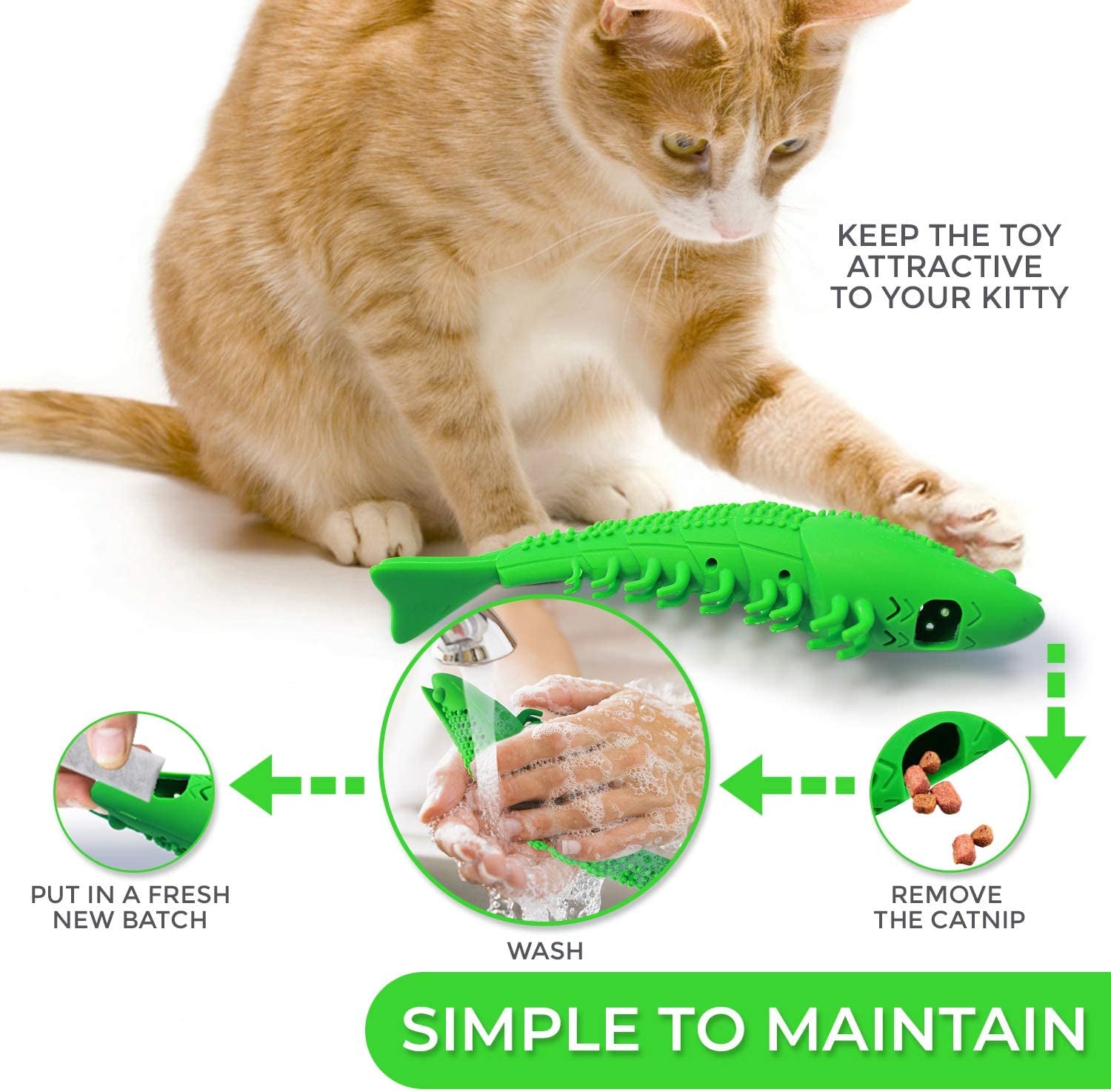 Pet Cat Toothbrush Toy SBDS WORD