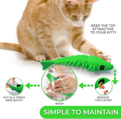 Pet Cat Toothbrush Toy SBDS WORD