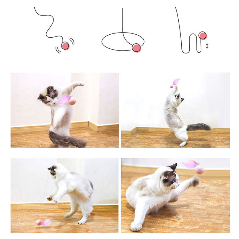 Cat Retractable Stick Feather Toy SBDS WORD