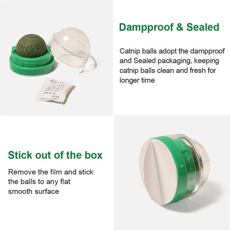 Catnip Balls SBDS WORD