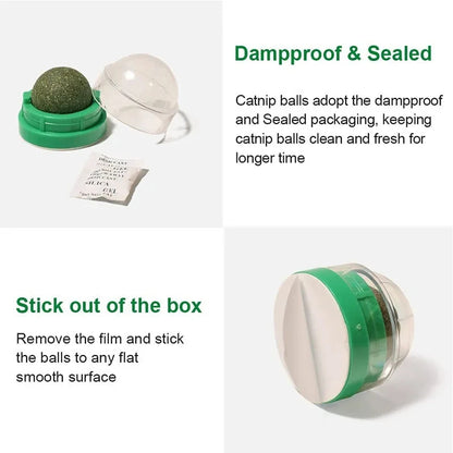 Catnip Balls SBDS WORD