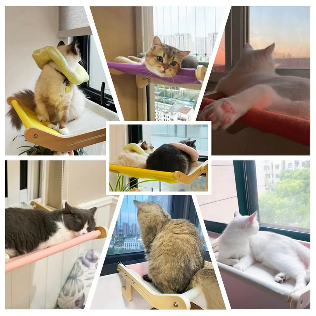 Sturdy Hanging Cat Bed SBDS WORD
