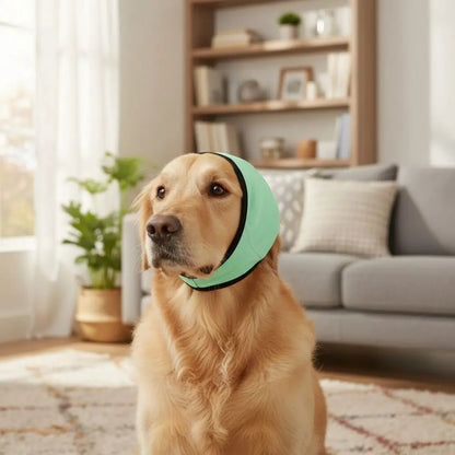 Dog Ear Protection SBDS WORD