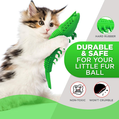 Pet Cat Toothbrush Toy SBDS WORD