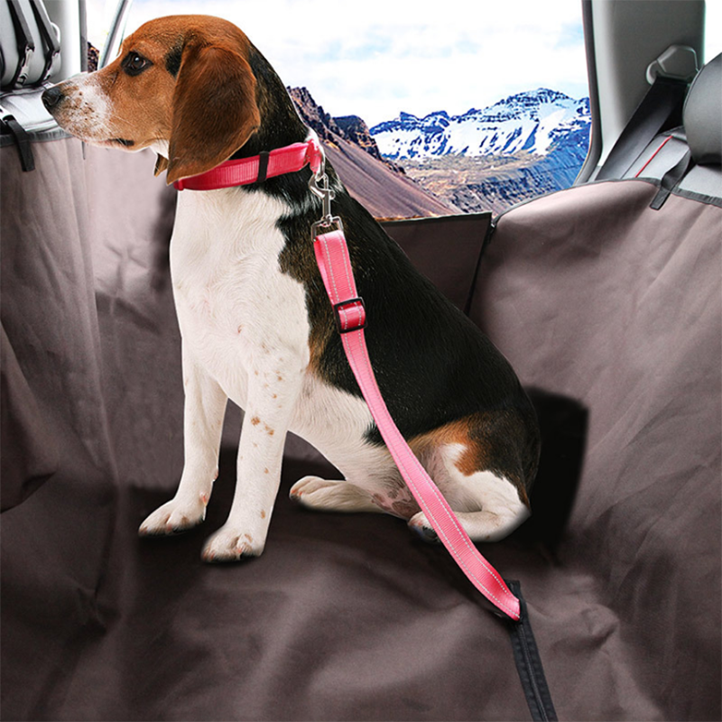 Pet Car Seat Belt SBDS WORD