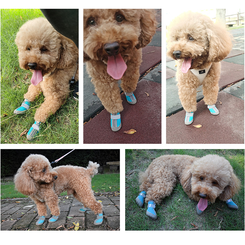 Dog Shoes for Hot Pavement SBDS WORD