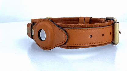 Leather AirTag Dog Collar SBDS WORD