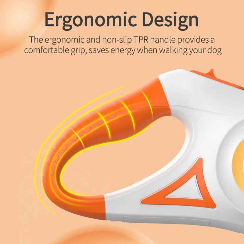 Night walk dog leash with flashlight keeping dog visible and safe after dark - SBDS WORD Canada