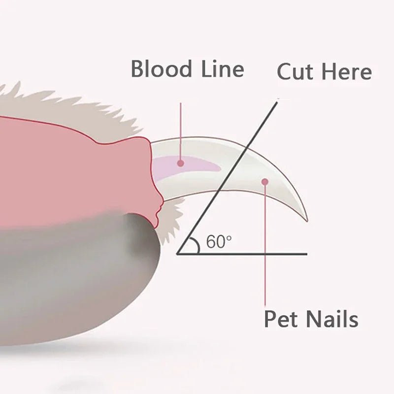Pet Nail Clipper with Led Light - SBDS WORDTR-9702cat nail clipperdog nail trimmerLED nail clipper