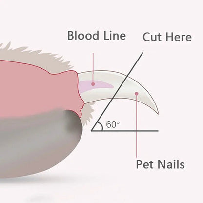 Pet Nail Clipper with Led Light - SBDS WORDTR-9702cat nail clipperdog nail trimmerLED nail clipper