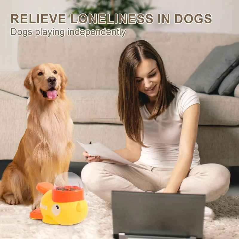 Automatic Interactive Pet Feeder SBDS WORD
