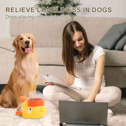 Automatic Interactive Pet Feeder SBDS WORD