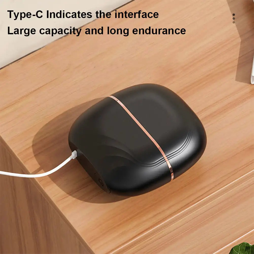 Portable Hair Straightener SBDS WORD
