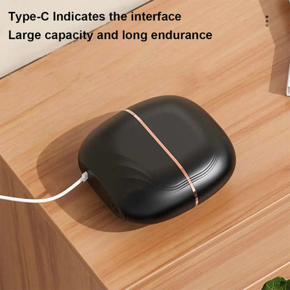 Portable Hair Straightener SBDS WORD