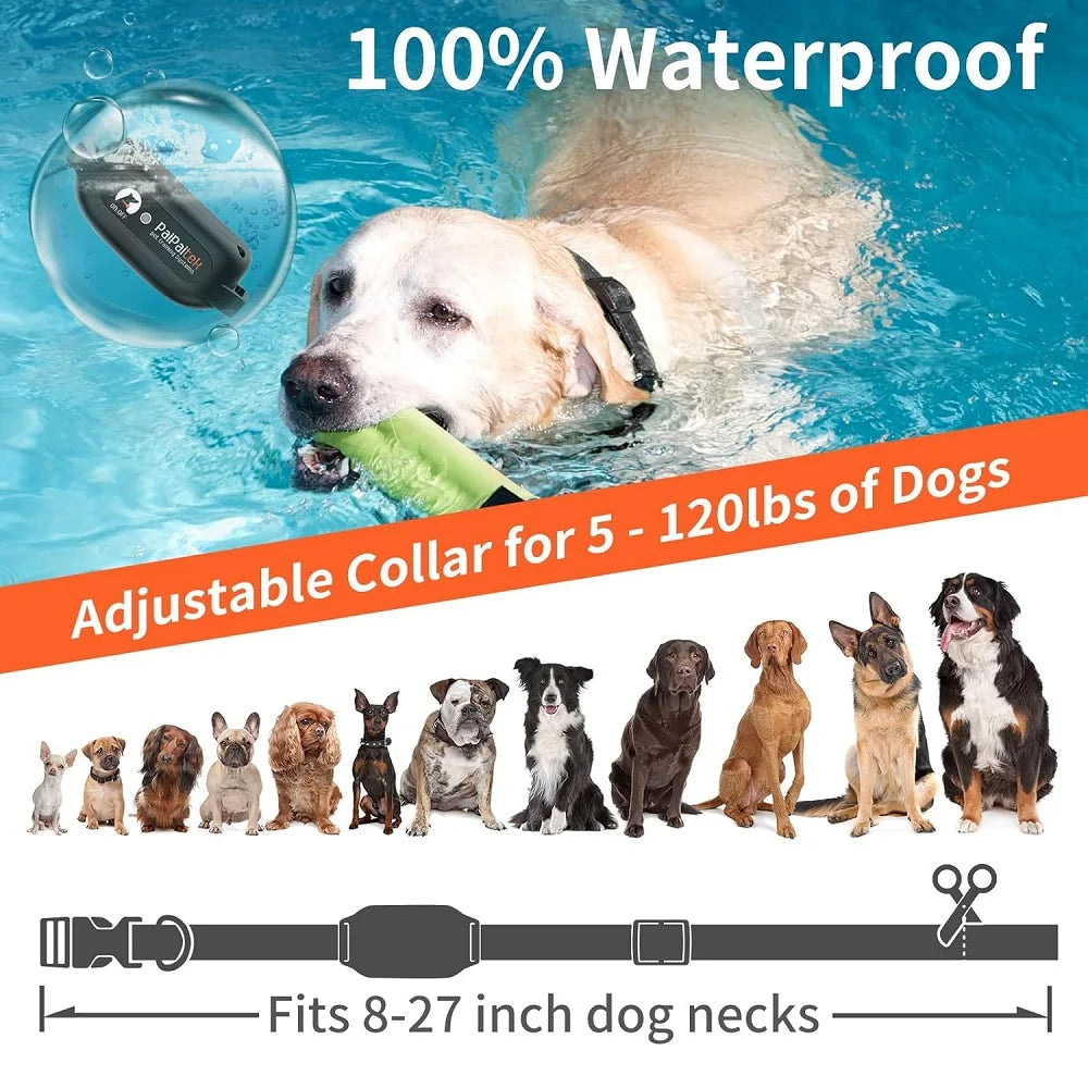 Dog Training Collar SBDS WORD