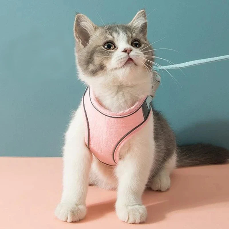 Cat Vest Harness Leash Set SBDS WORD