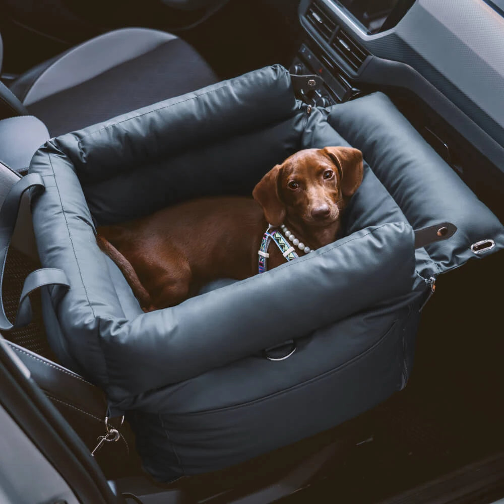 Dog Car Seat Bed with Safety Buckle SBDS WORD