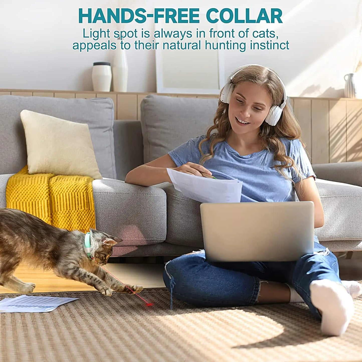 Laser Cat Collar SBDS WORD