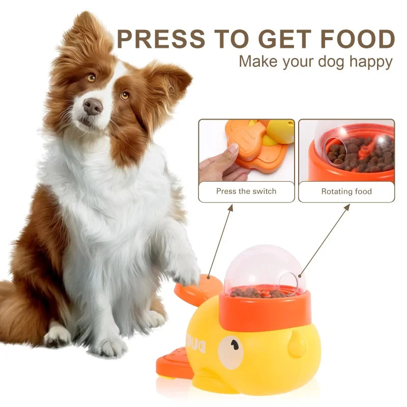 Automatic Interactive Pet Feeder SBDS WORD