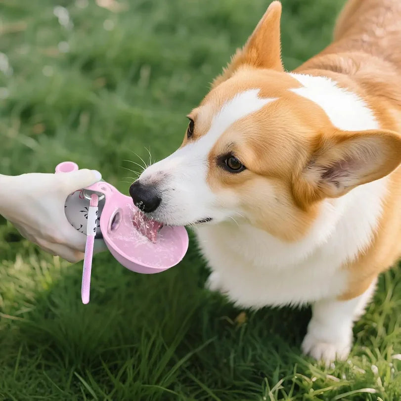 Portable Dog Water Bottle with Bowl - SBDS WORD