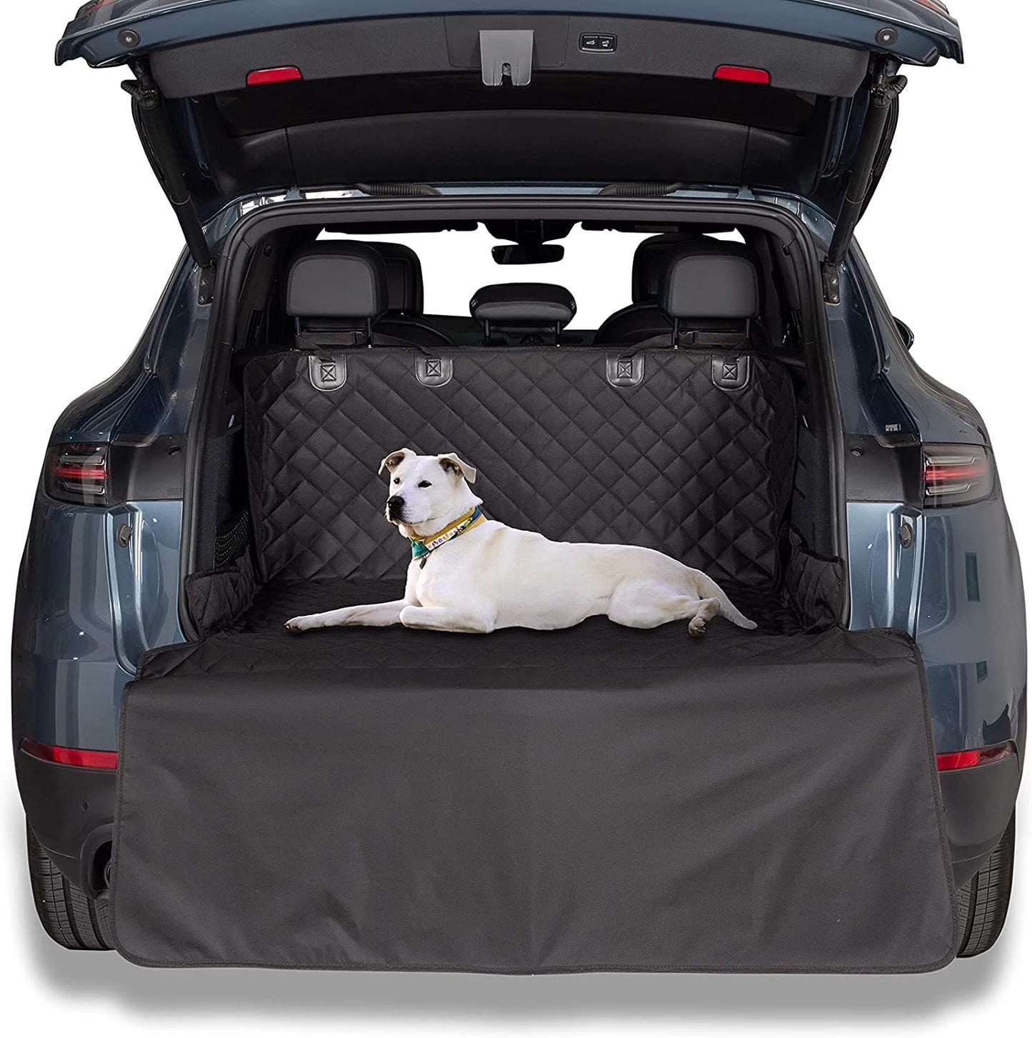 Dog Car Seat Cover SBDS WORD