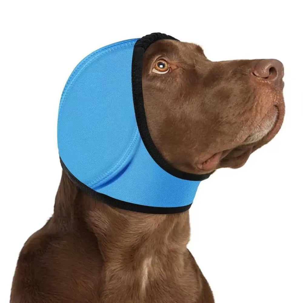 Dog Ear Protection SBDS WORD