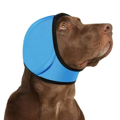 Dog Ear Protection SBDS WORD