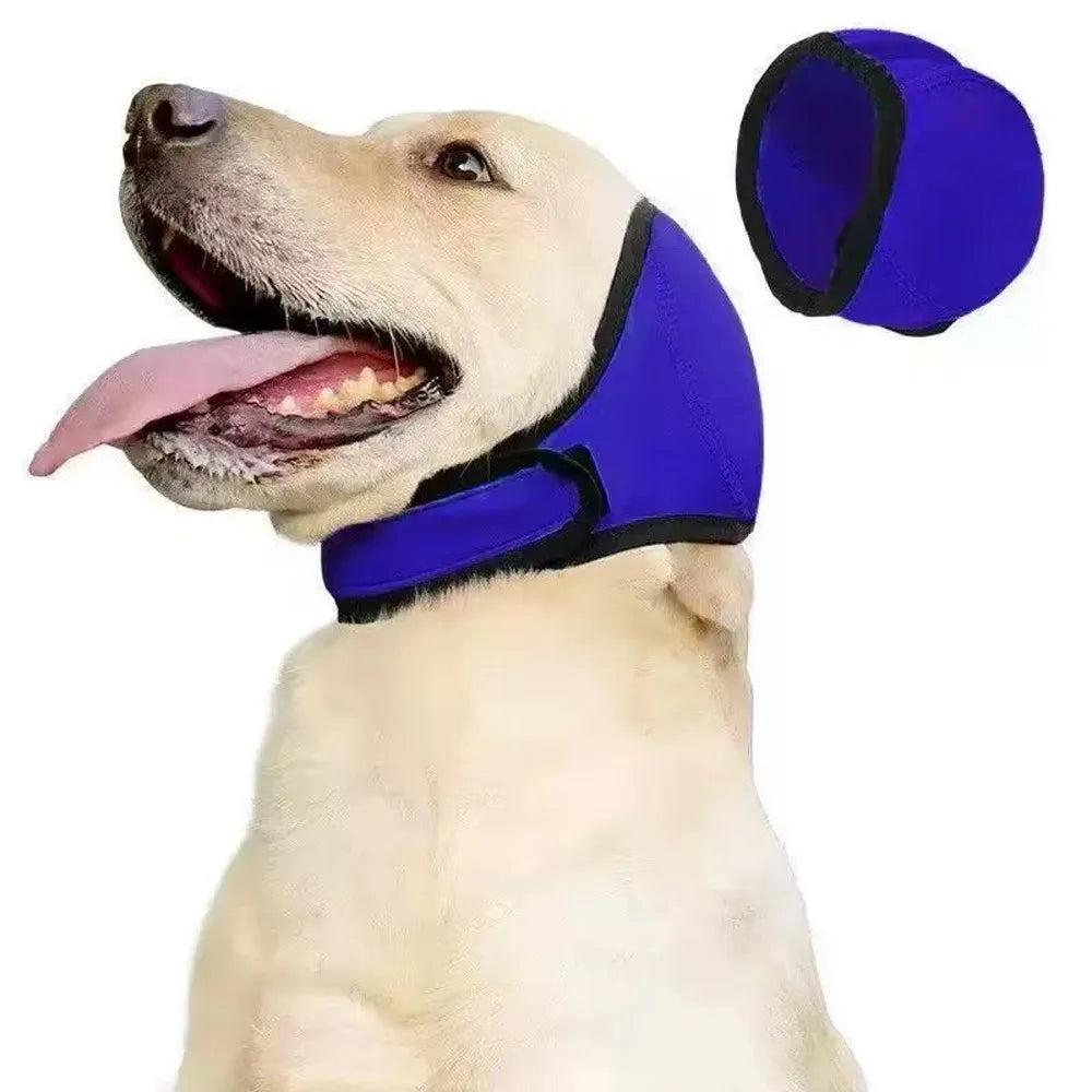 Dog Ear Protection SBDS WORD