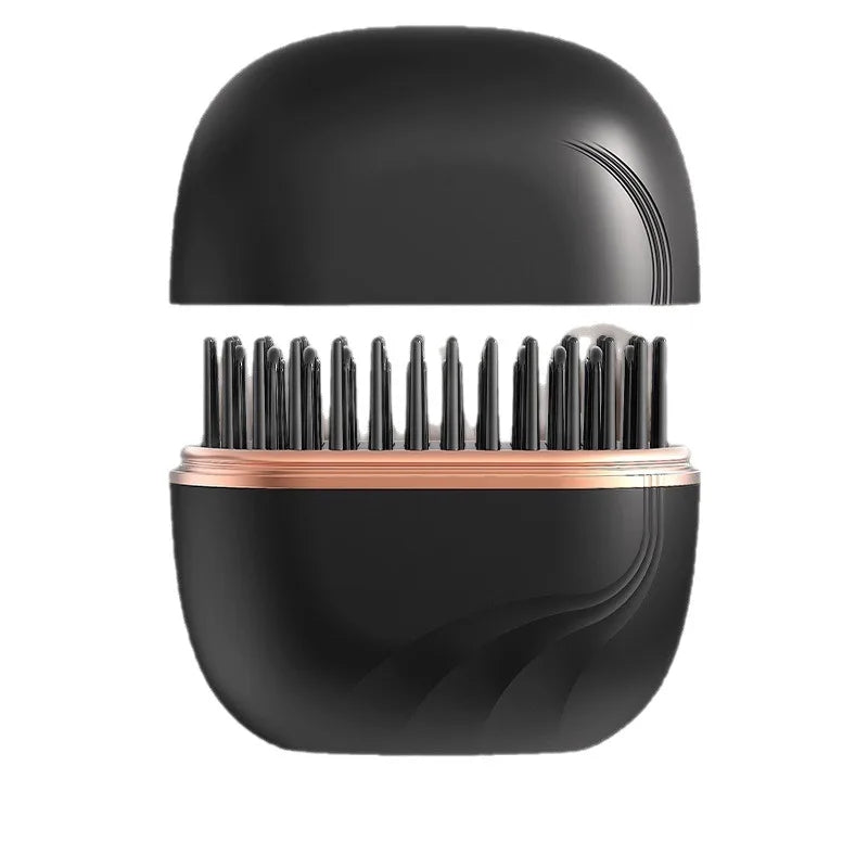 Portable Hair Straightener SBDS WORD