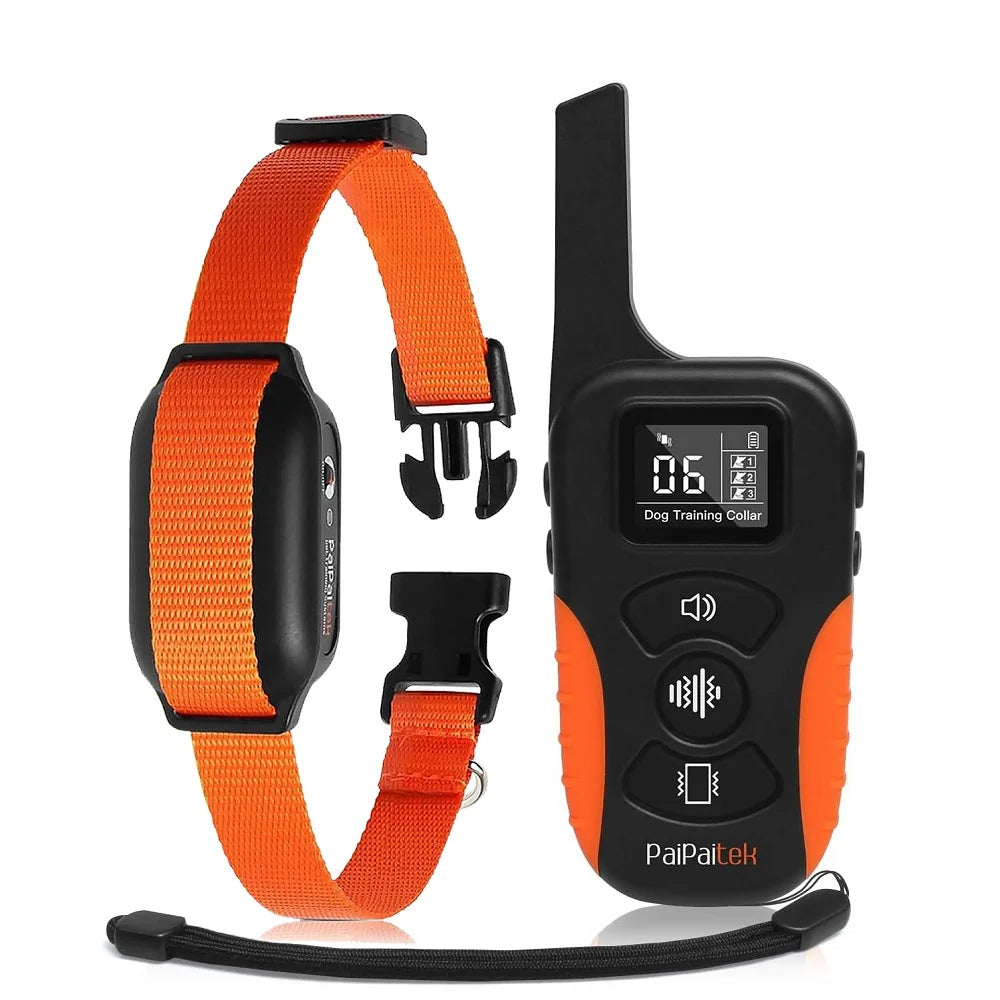 Dog Training Collar SBDS WORD