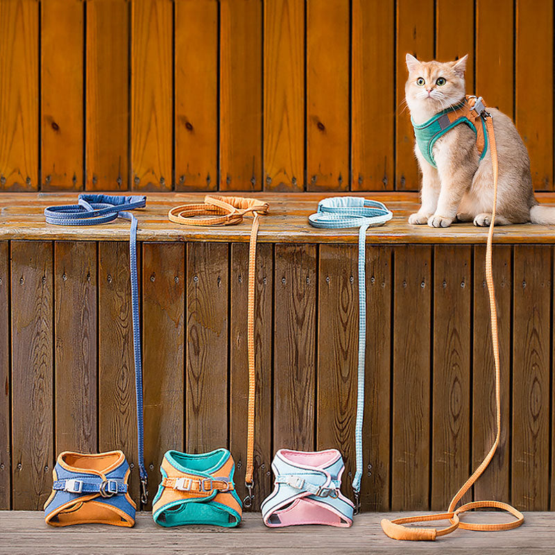 Cat Vest Harness Leash Set SBDS WORD